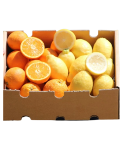Caja de Naranjas y Limones, Tropitop