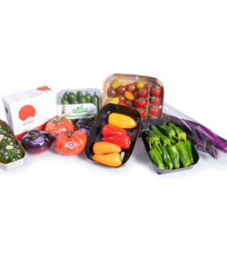 Selección de Tomates Premium y Mini Verduras